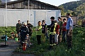 Firmlinge u. ihre Feuerwehr  20130428-DSC00026